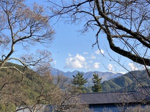 IMG_0110